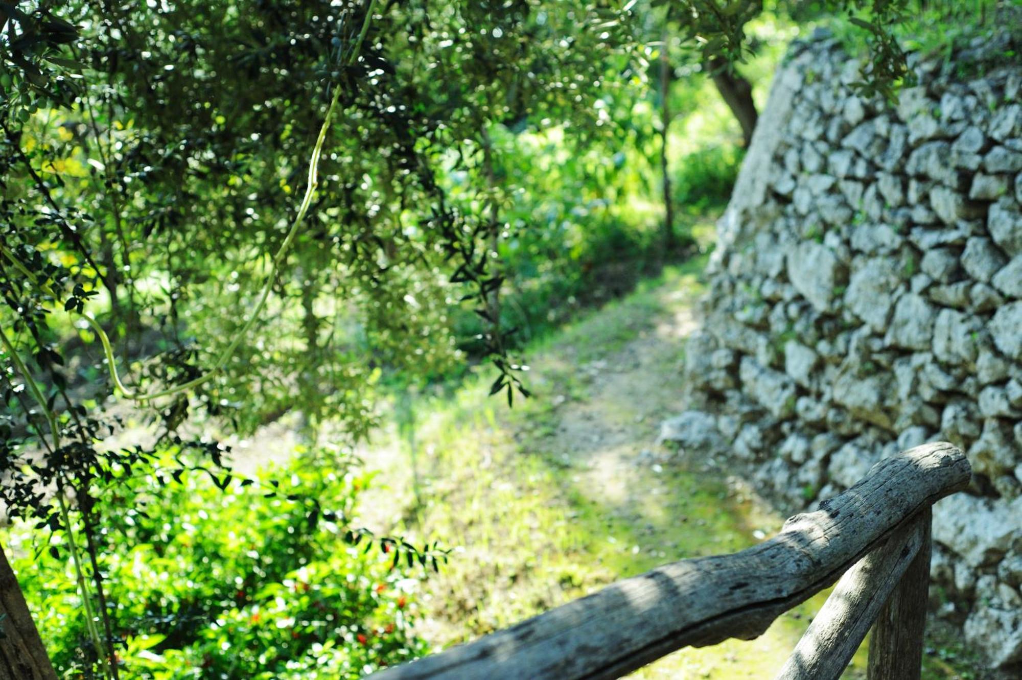 Villa Rina Amalfi Bagian luar foto
